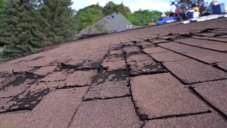 Best Flat Roofing  in Lapwai, ID