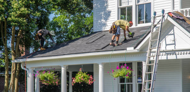 Best Roof Insulation Installation  in Lapwai, ID